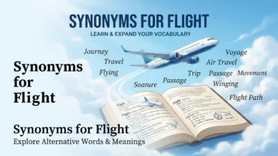 Synonyms for Flight